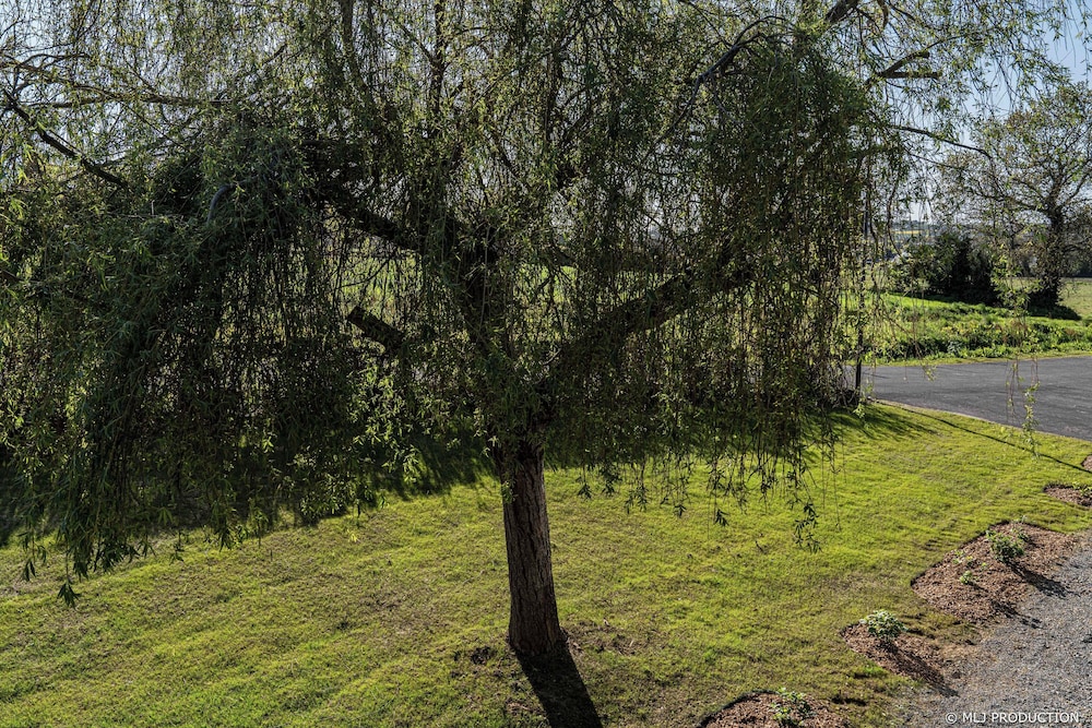 Double Room, Terrace - Photo 14