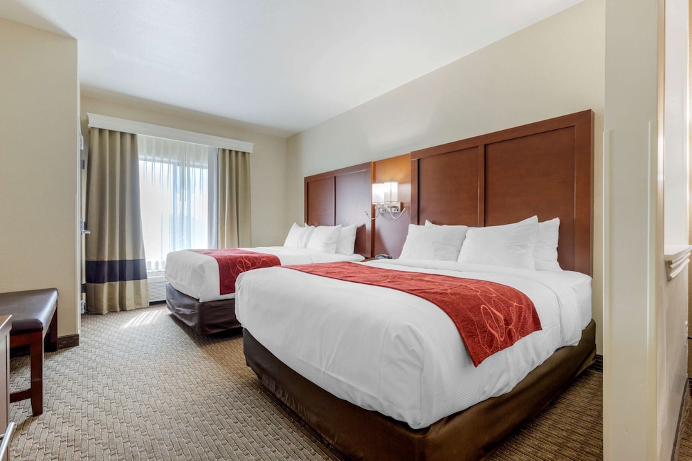 Room, Multiple Beds, Accessible, Non Smoking - Photo 10