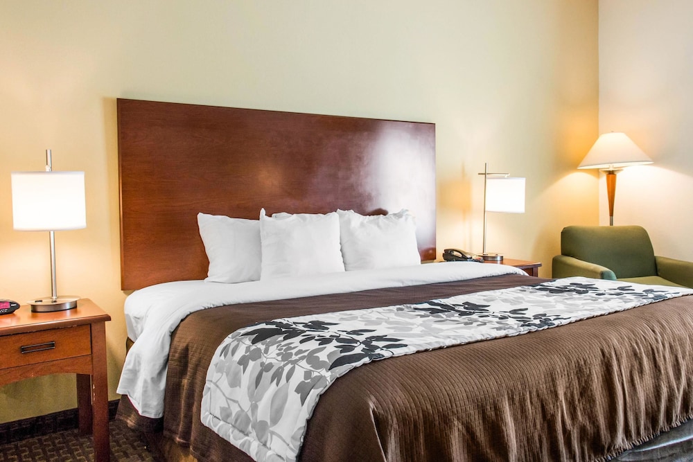 Room, 1 King Bed, Accessible, Non Smoking - Photo 1