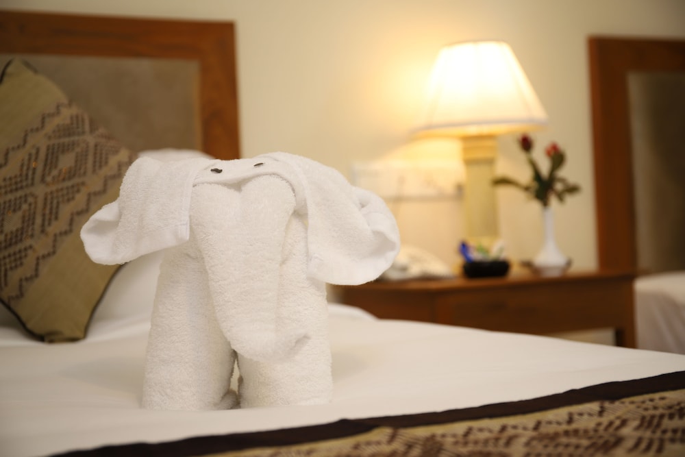 Grand Deluxe Room photo 3