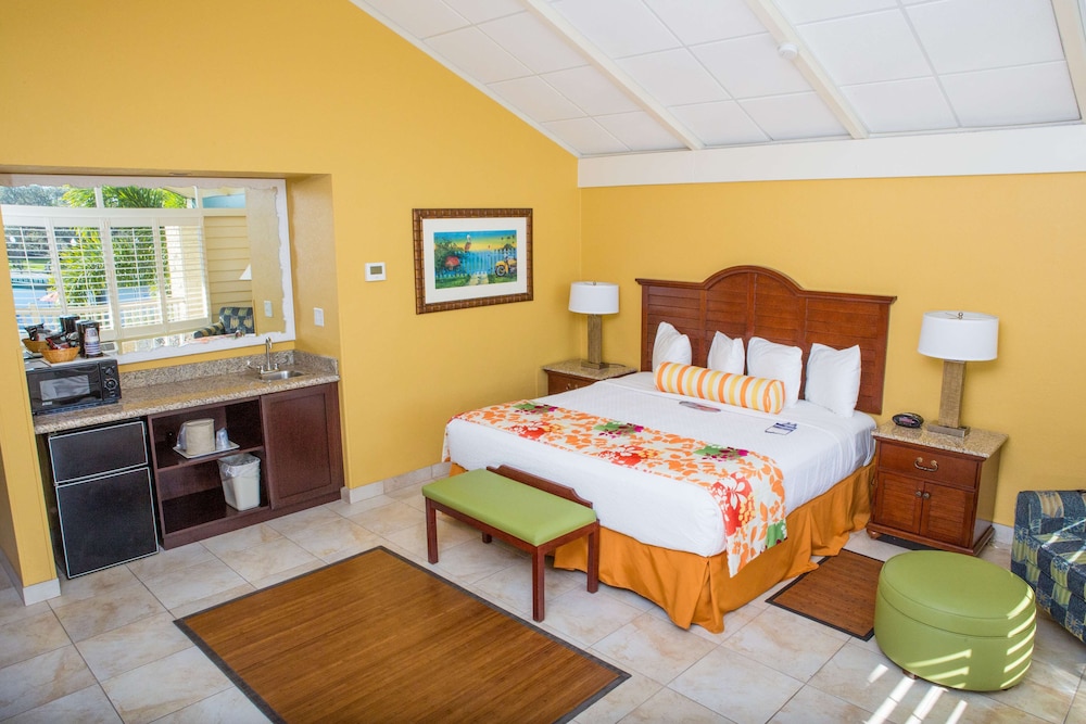 Suite, 1 King Bed, Non Smoking, Refrigerator & Microwave - Photo 1