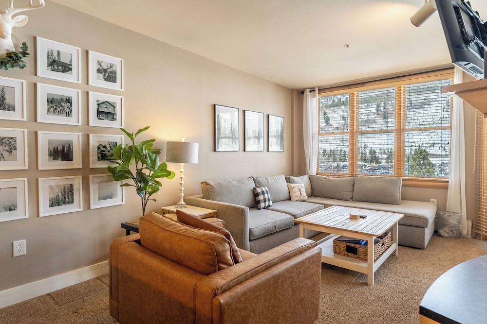 Apartment (1 Bedroom)