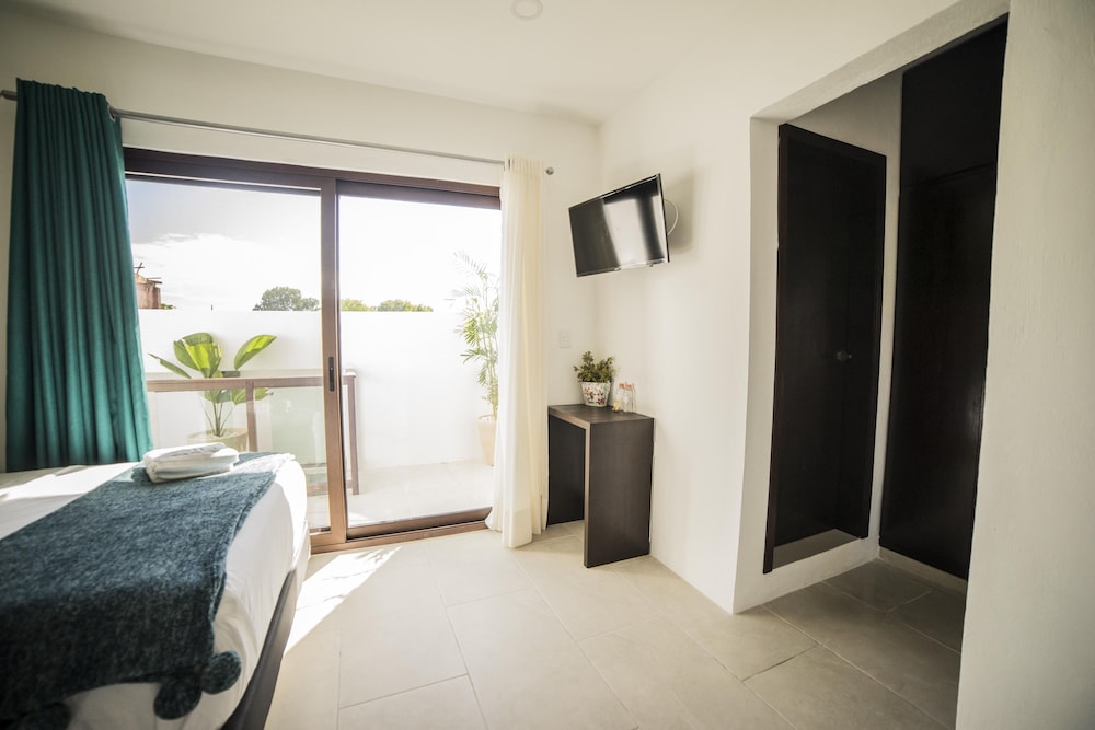 Executive Studio, 2 Double Beds photo 1
