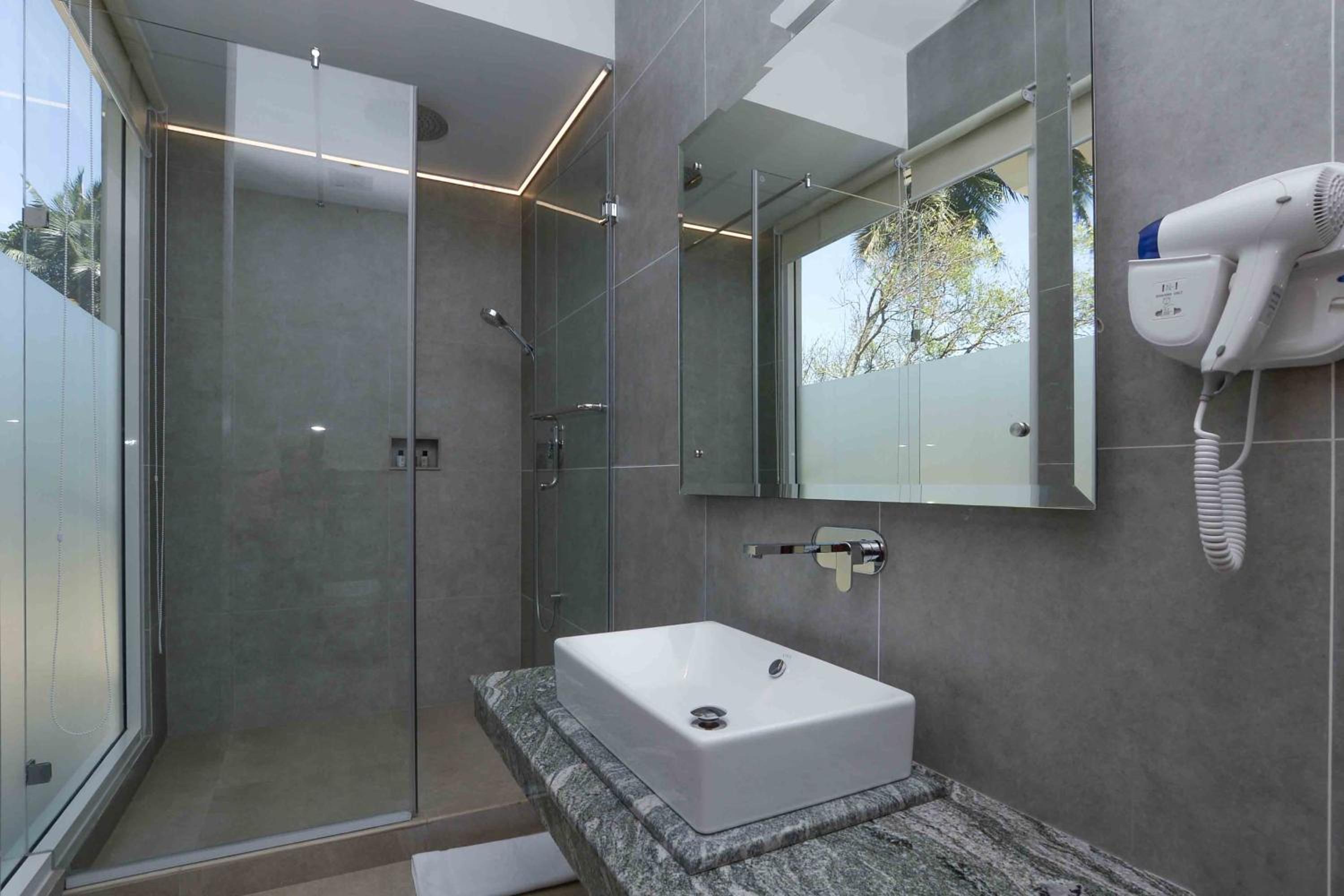 Deluxe Double or Twin Room photo 2