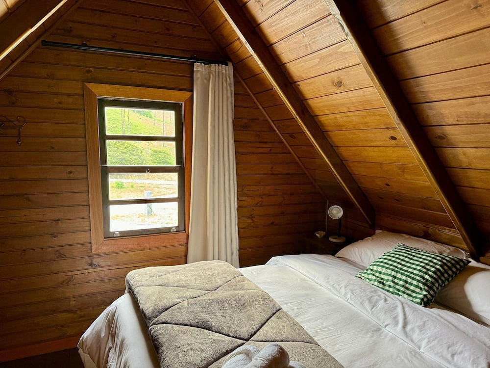 Premium Cabin photo 1