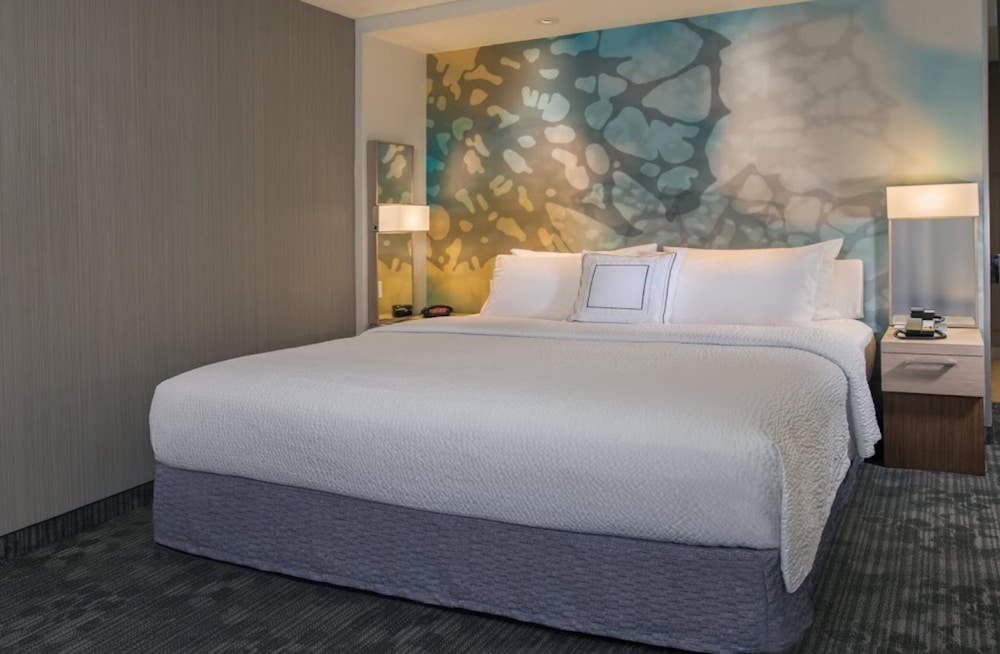 Suite, 1 King Bed with Sofa bed photo 2