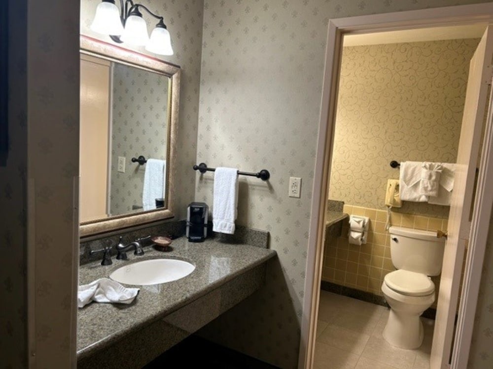 Suite, 1 Bedroom - Photo 5