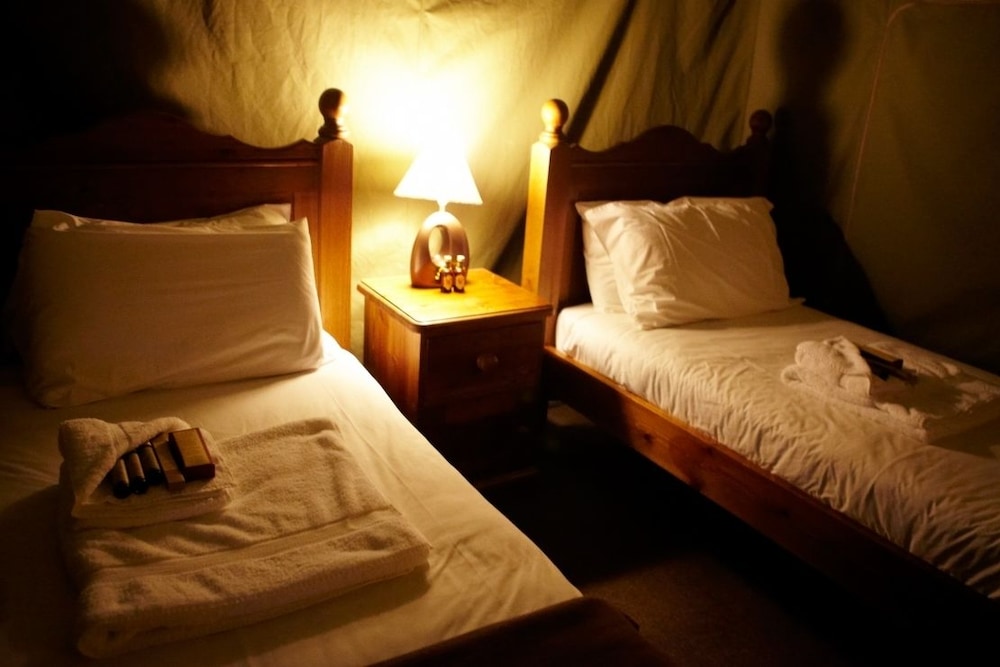 Superior Twin Tent photo 1