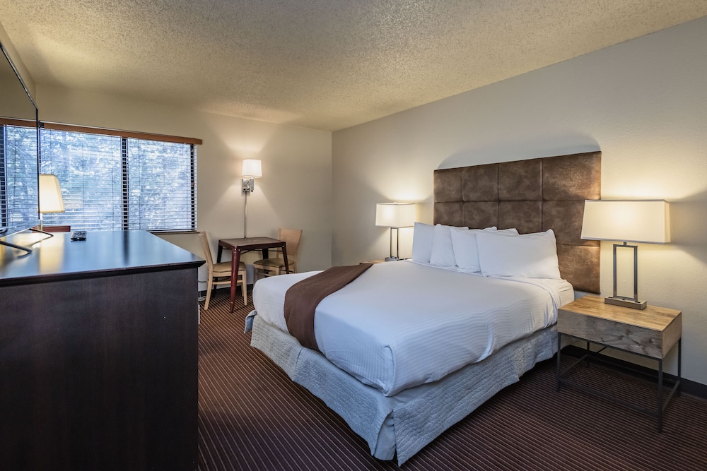 Standard Single Room photo 1