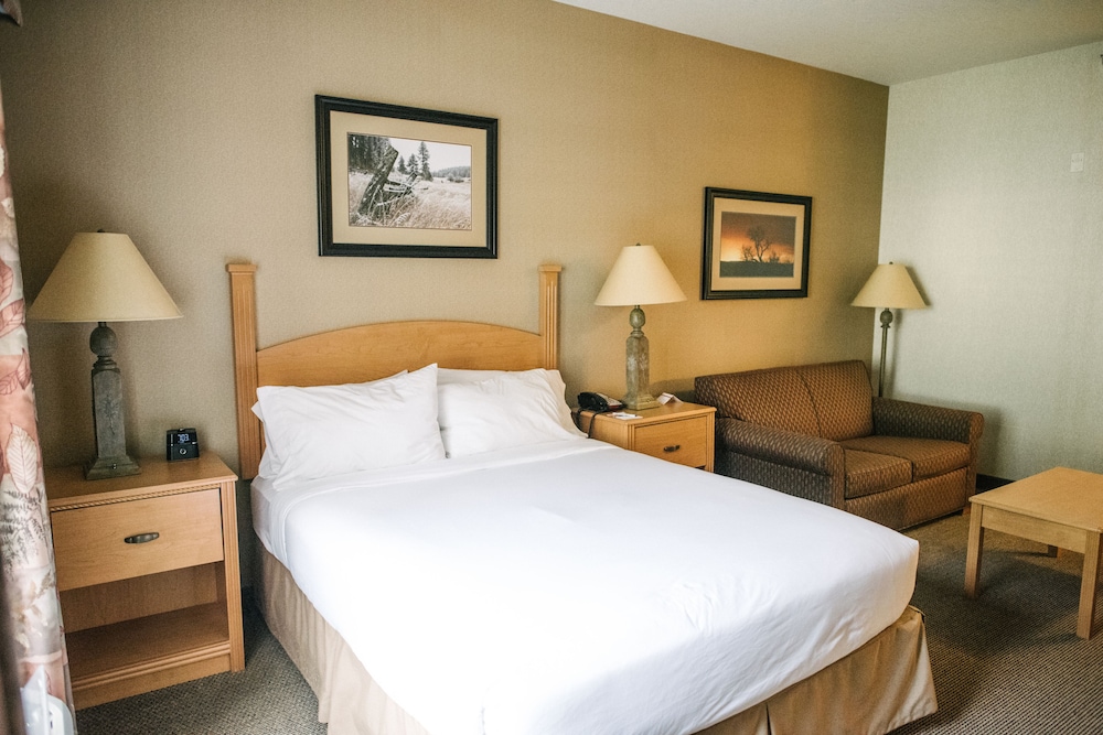 Suite, 1 Bedroom - Photo 4