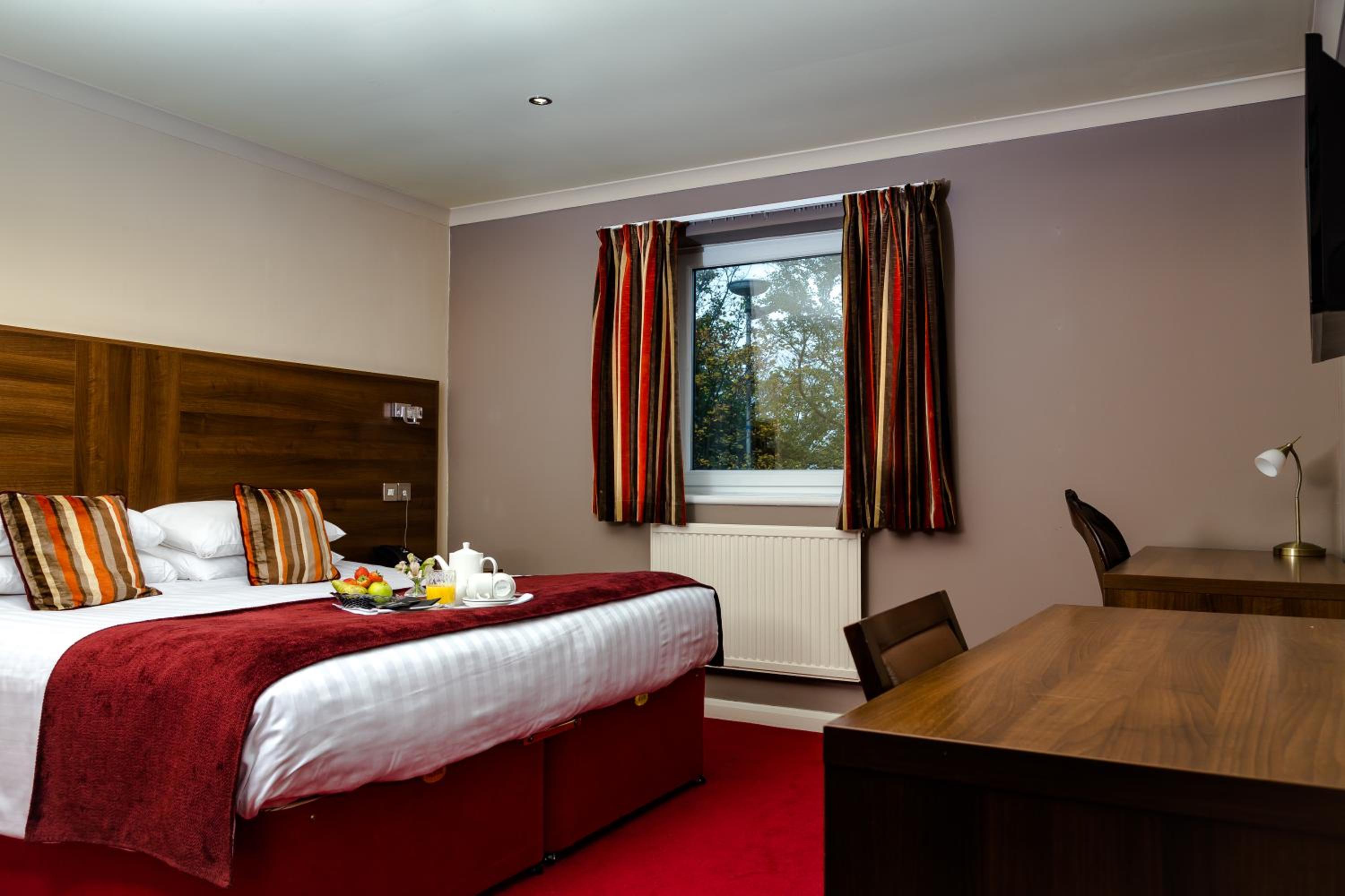 Standard King Room - Photo 2