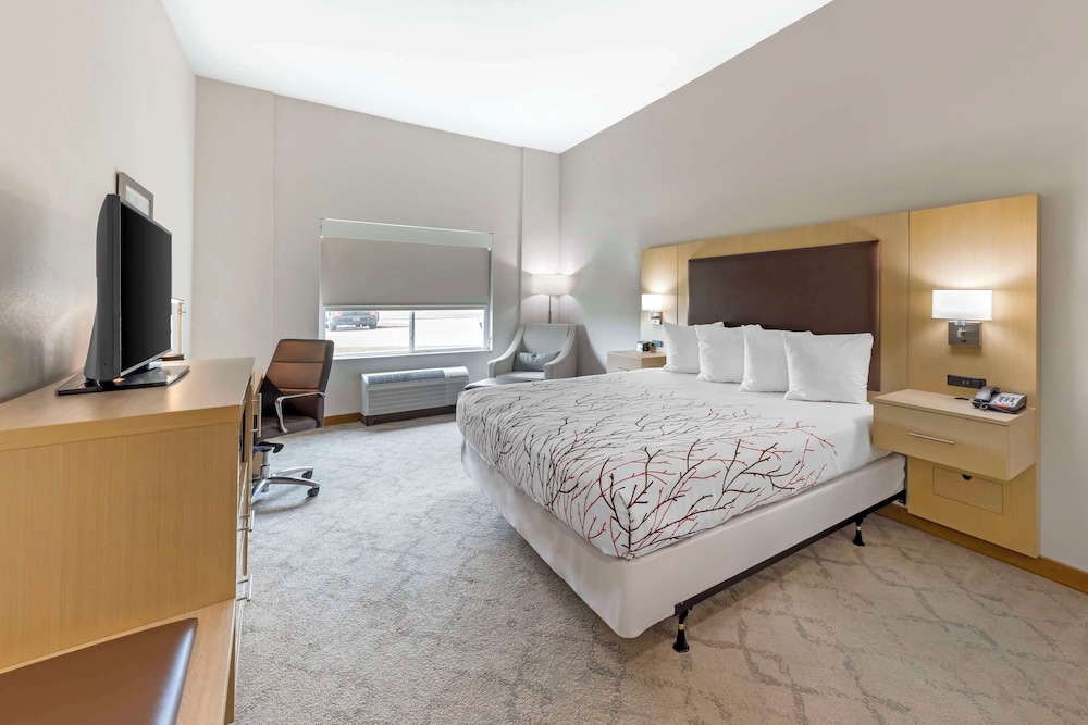 Standard Room, 1 King Bed, Accessible, Refrigerator & Microwave - Photo 1