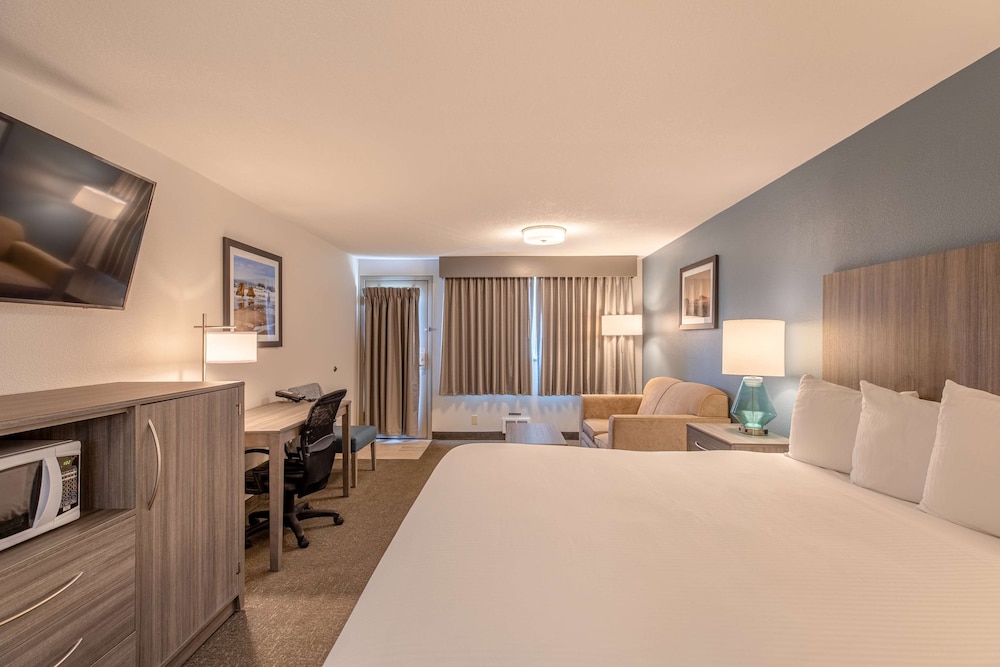 Standard Room, 1 King Bed, Accessible, Non Smoking