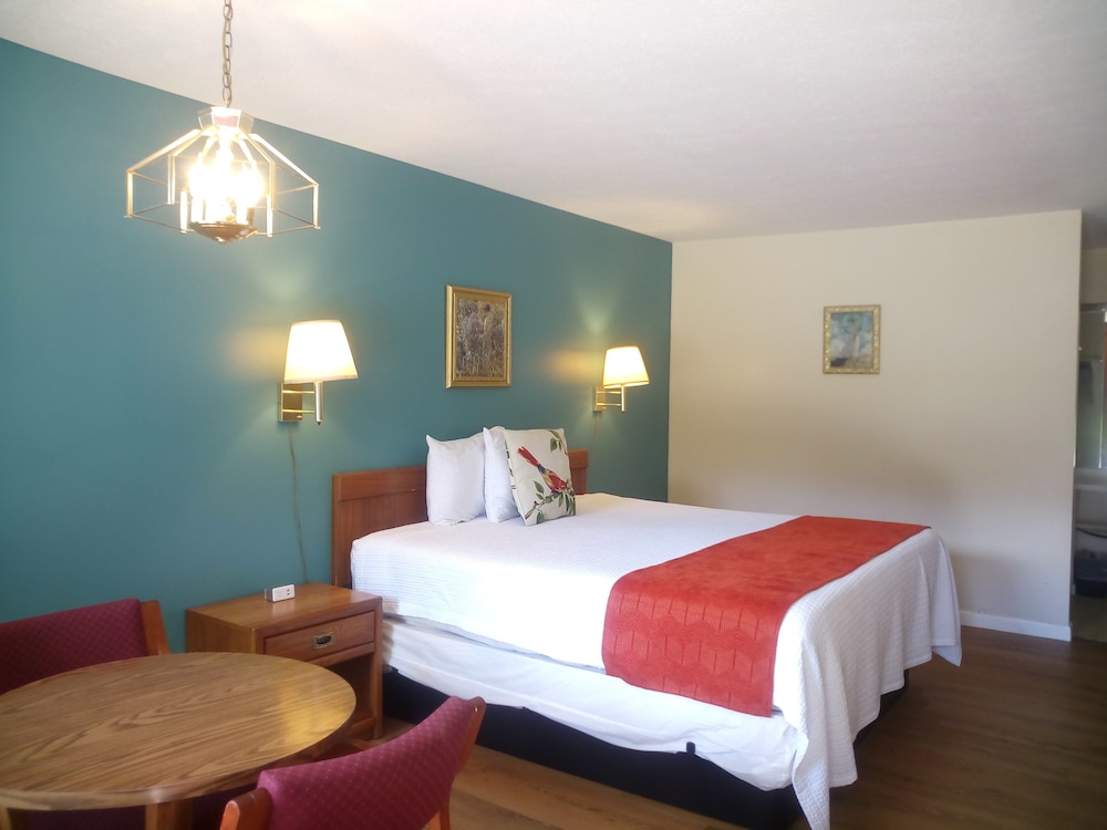Room, 1 King Bed, Mountain View photo 1