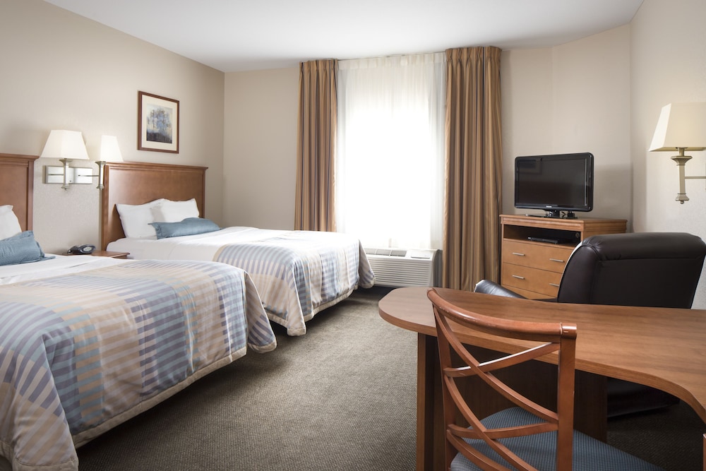 Studio Suite, 2 Queen Beds, Accessible, Kitchen (Communications) - Photo 1
