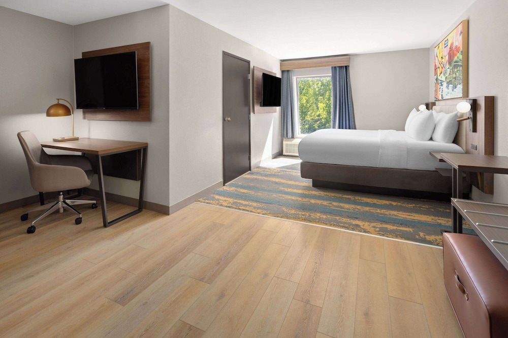 Room, 1 King Bed, Non Smoking (Oversized) - Photo 1