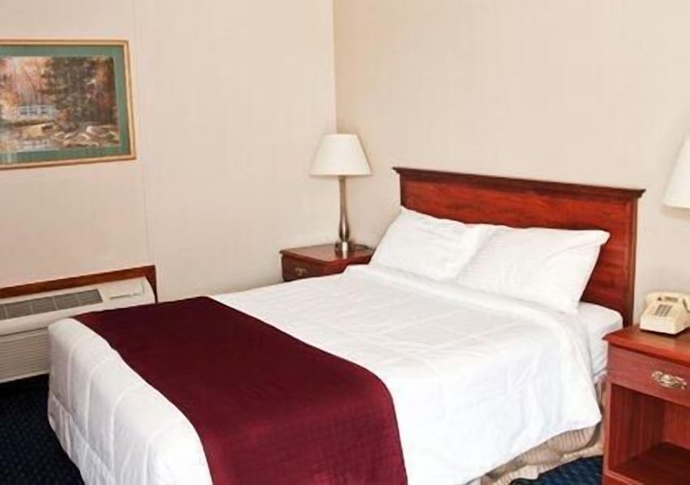 Room, 1 King Bed, Non Smoking photo 3