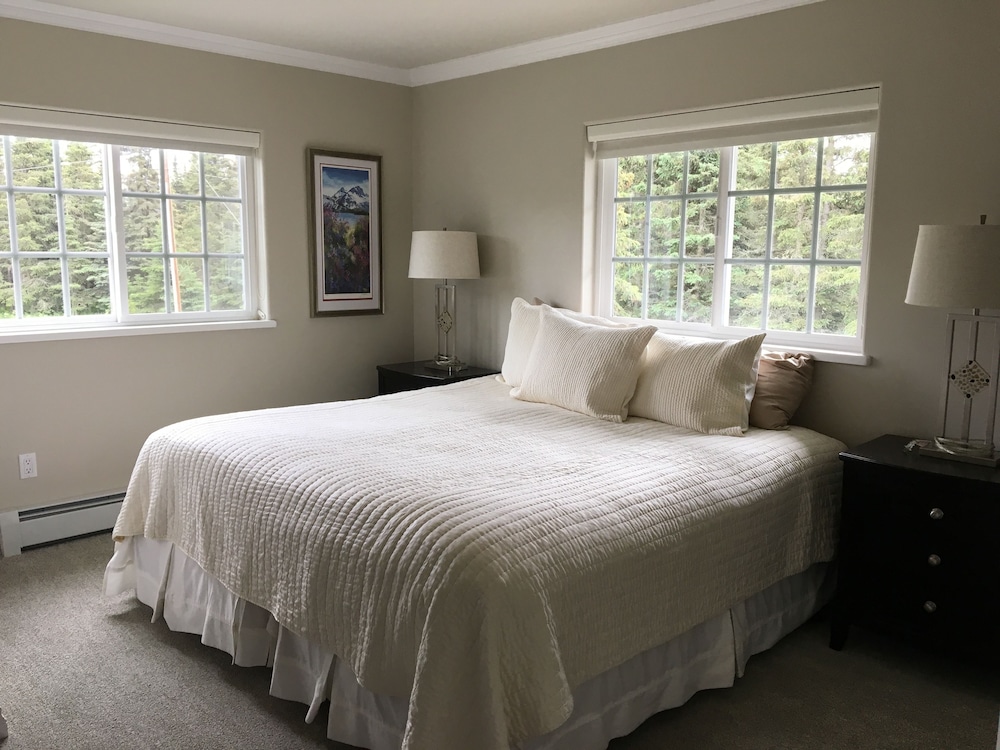 Luxury Single Room, 1 King Bed photo 1