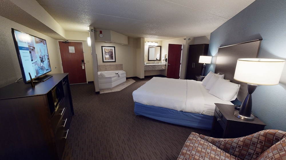 Premier Suite, 1 King Bed, Non Smoking (One-Bedroom Suite) - Photo 10