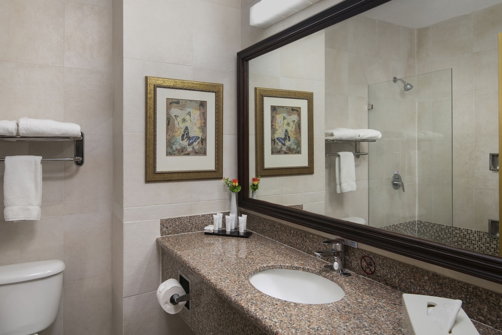 Standard Suite - Photo 5