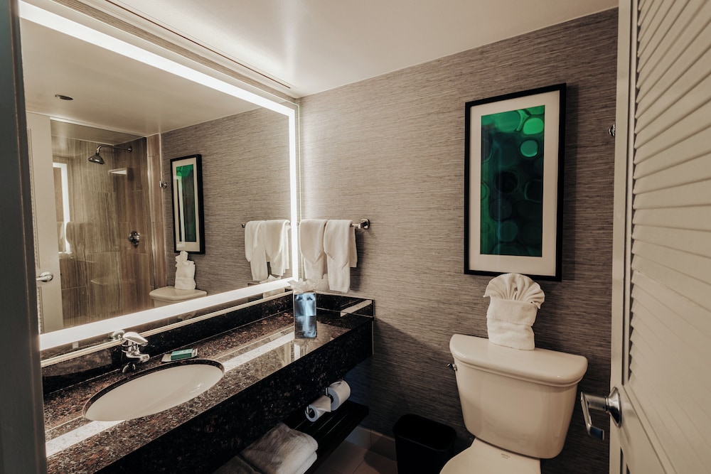 Executive Suite, 1 King Bed with Sofa bed photo 3