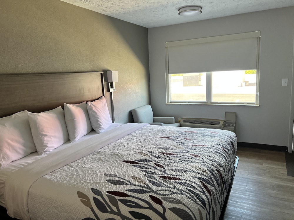Deluxe Room, 1 King Bed, Non Smoking - Photo 3