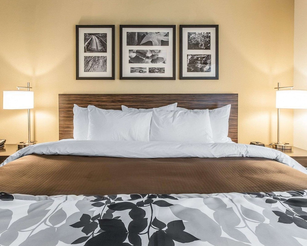Standard Room, 1 King Bed, Non Smoking photo 3