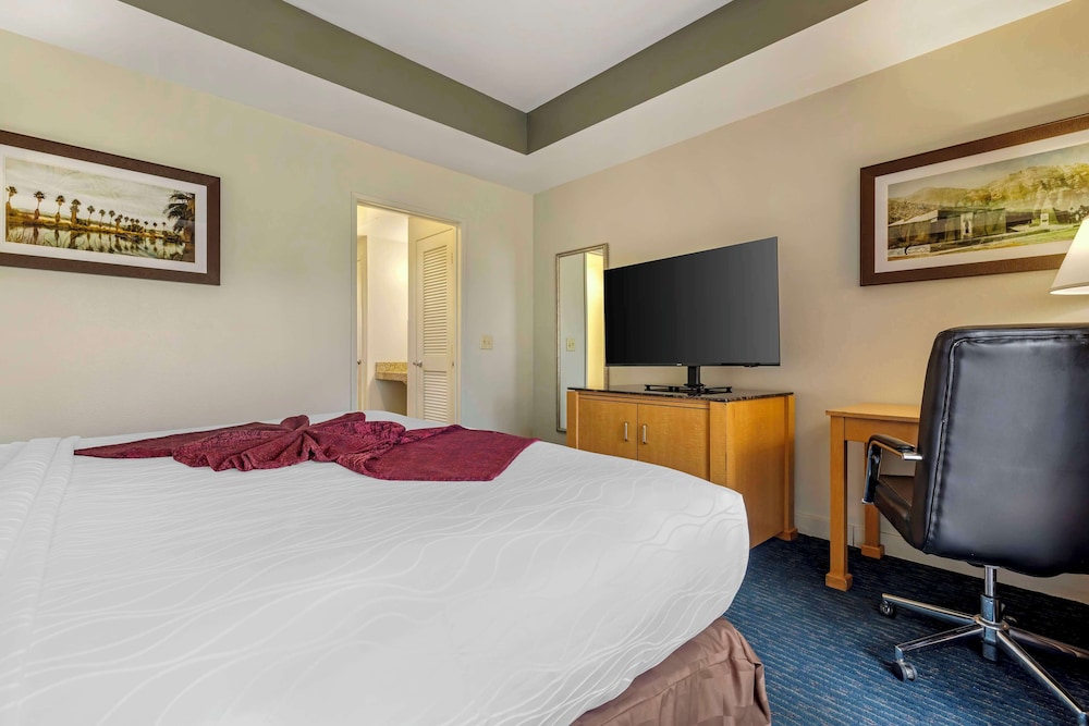 Suite, 1 King Bed, Accessible, Non Smoking (with Sofabed) - Photo 3