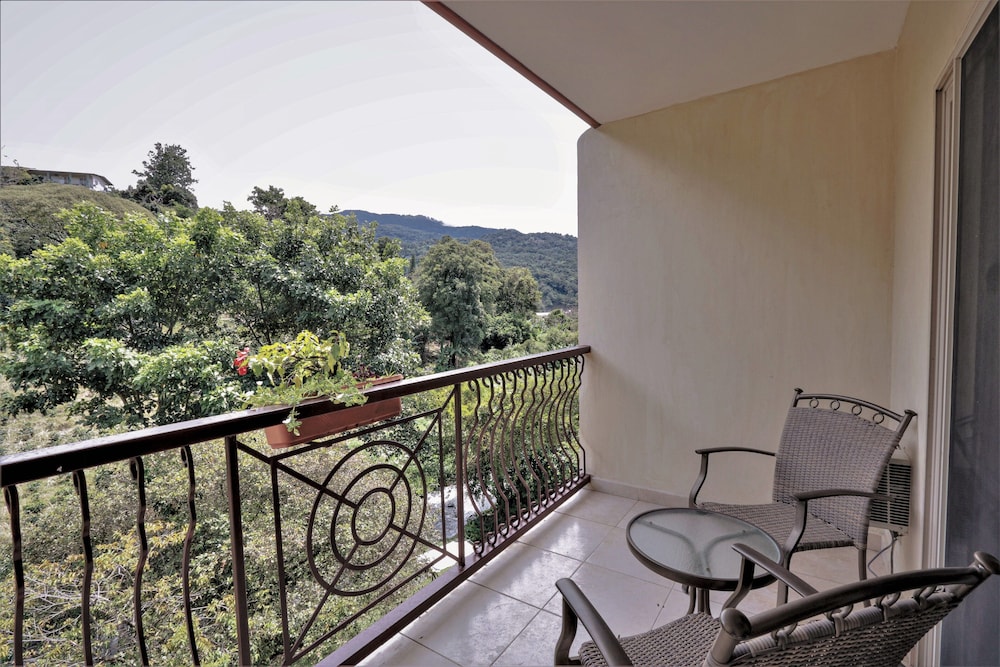 Basic Room, 1 King Bed, River View photo 2