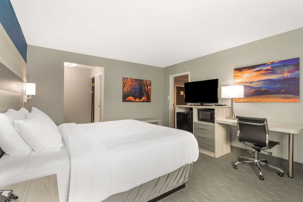 Suite, 1 King Bed, Non Smoking, Refrigerator & Microwave (with Sofabed) photo 2