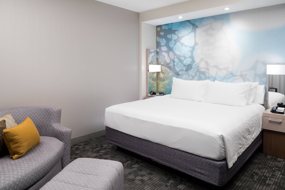 Room, 1 King Bed With Sofa Bed (Mobility Accessible, Tub)