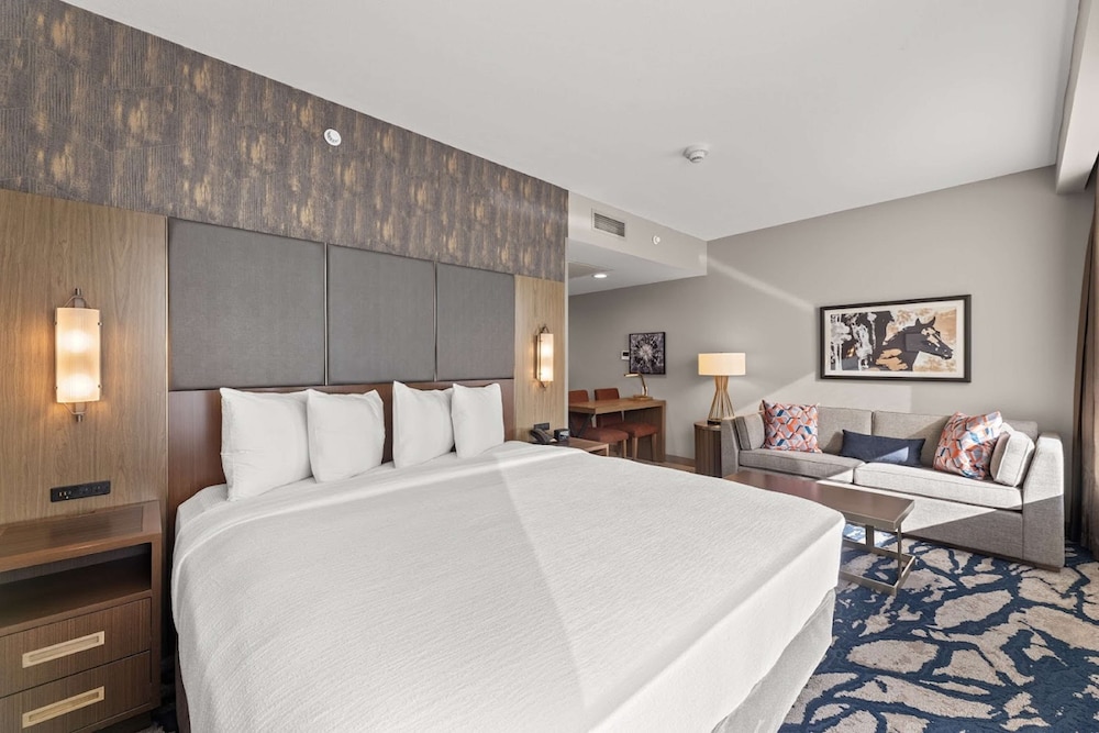 Suite, 1 King Bed photo 2