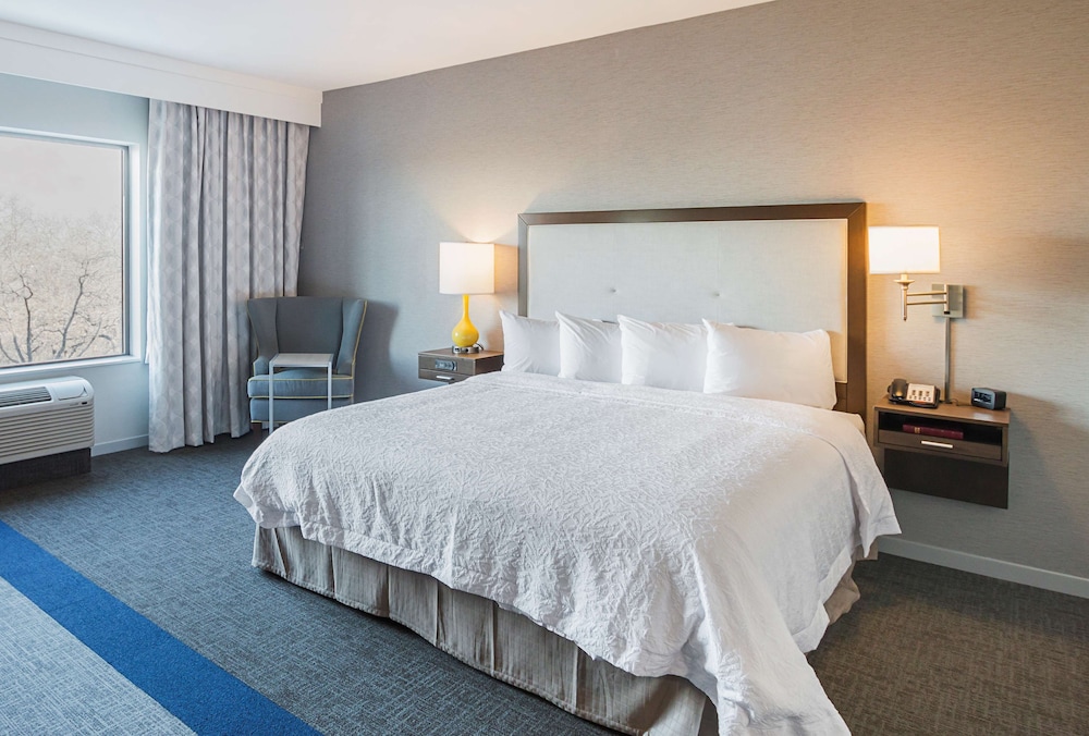 Room, 1 King Bed, Accessible, Non Smoking (w/ bathtub) photo 1