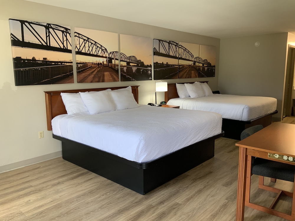 Studio Suite, Multiple Beds, Non Smoking - Photo 1