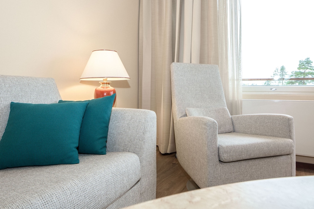 King Suite, 1 Bedroom with Sauna photo 3
