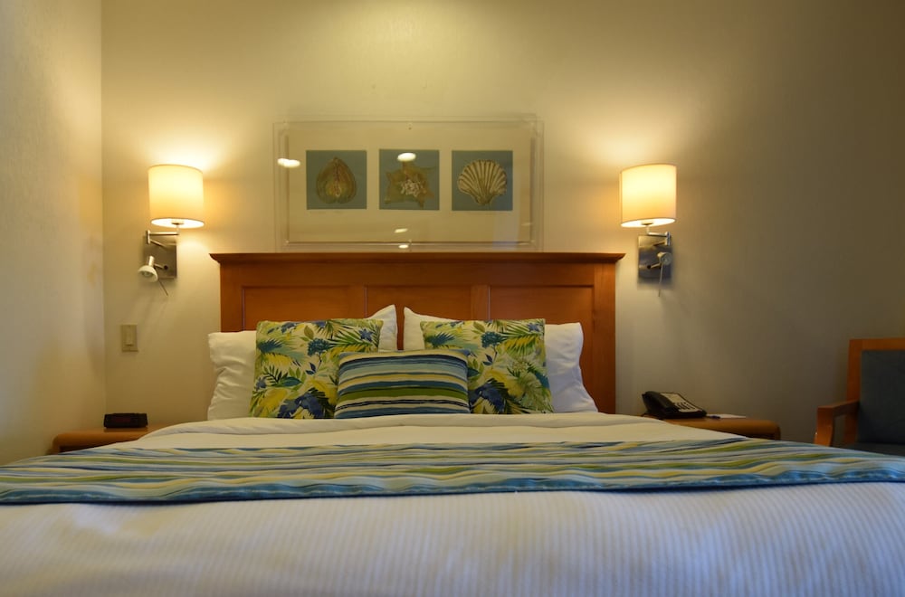 Suite photo 3