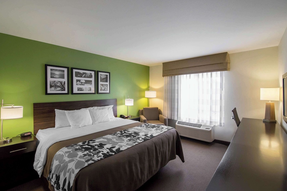 Room, 1 King Bed, Accessible, Non Smoking - Photo 3