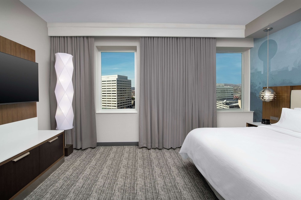 Suite, 1 King Bed, Accessible (Roll-In Shower) - Photo 5