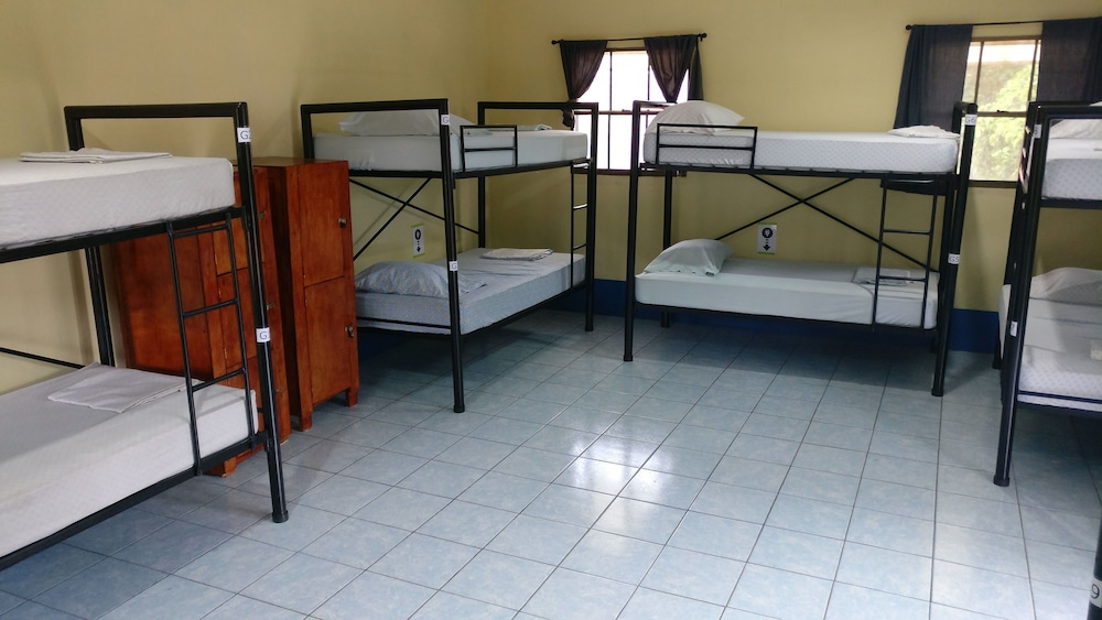 Deluxe Shared Dormitory, Multiple Beds, Non Smoking (5 bunk beds) photo 2