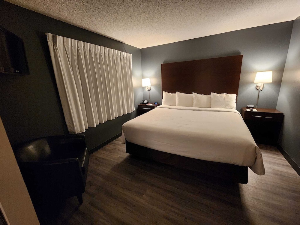 Honeymoon Studio Suite photo 1