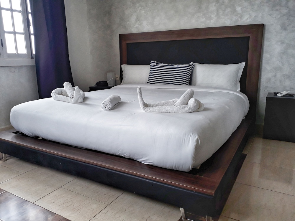 Basic Suite photo 1
