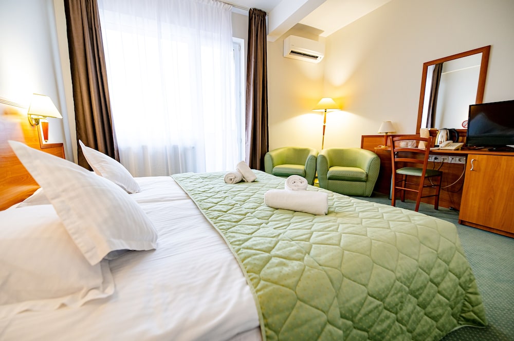 Double Room Single Use, 1 King Bed photo 3
