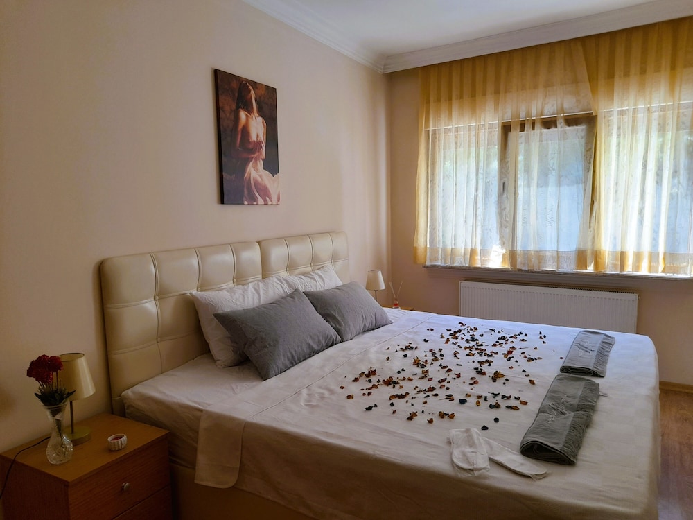 Luxury Apartment