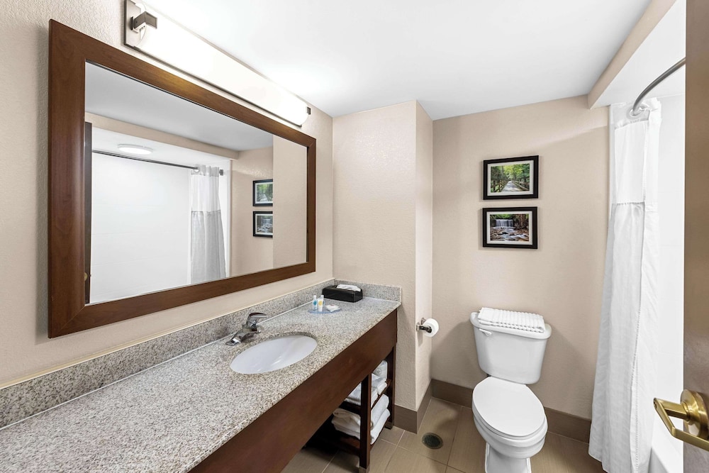 Suite, 1 King Bed with Sofa bed, Non Smoking (Efficiency) photo 2
