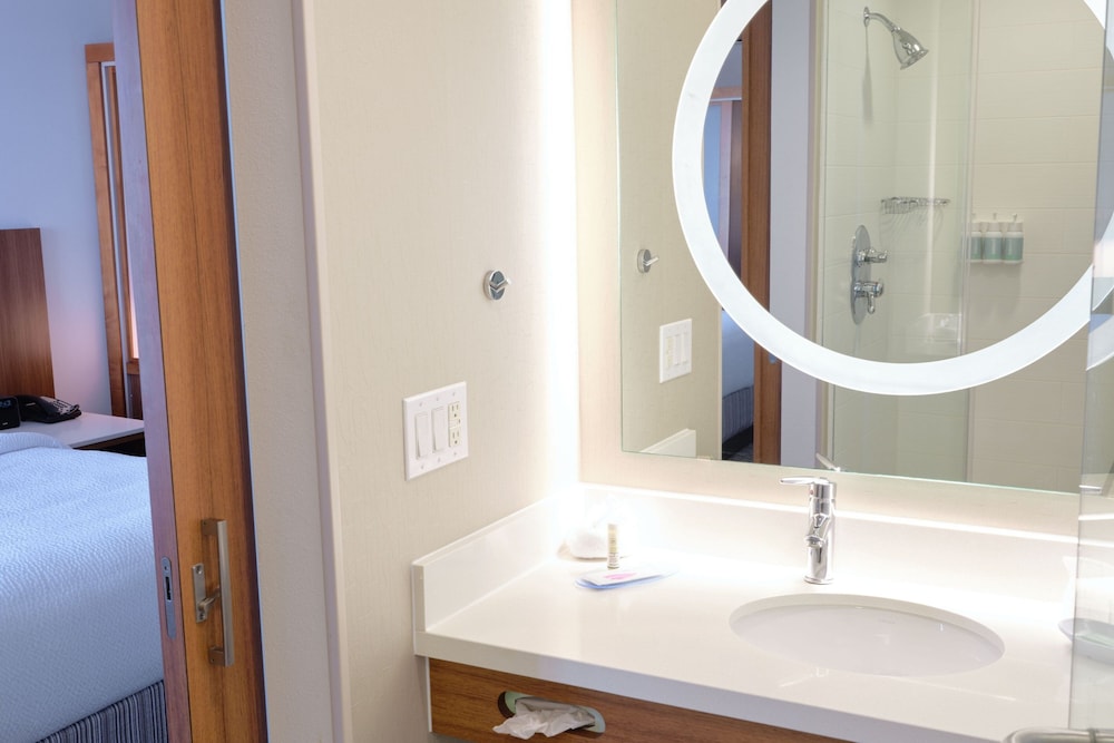Suite, 1 Bedroom - Photo 2