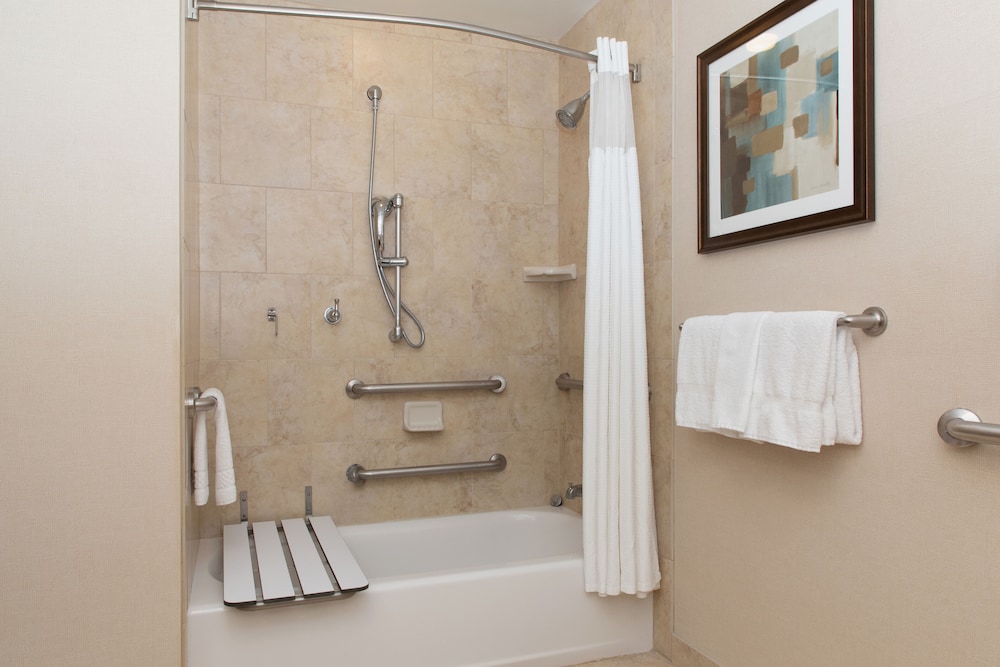 Studio Suite, 1 King Bed with Sofa bed (Mobility Accessible, Tub) photo 3