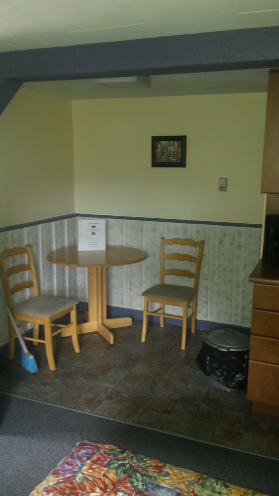 Economy Studio Suite, 1 Double Bed, Kitchenette, Lake View photo 3