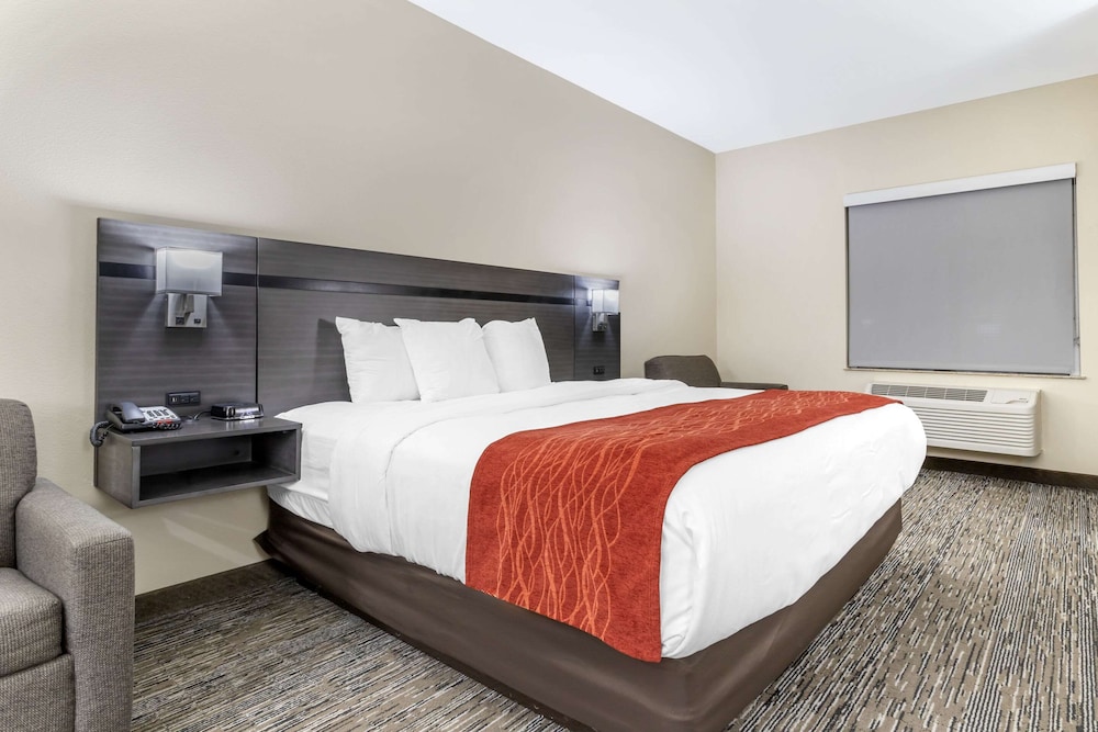 Standard Single Room, 1 King Bed, Non Smoking - Photo 8