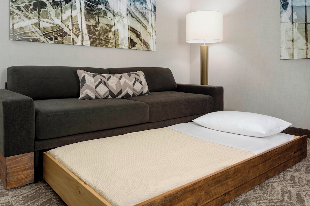 Suite, 1 King Bed (Mobility/Hearing Accessible, Tub) photo 3