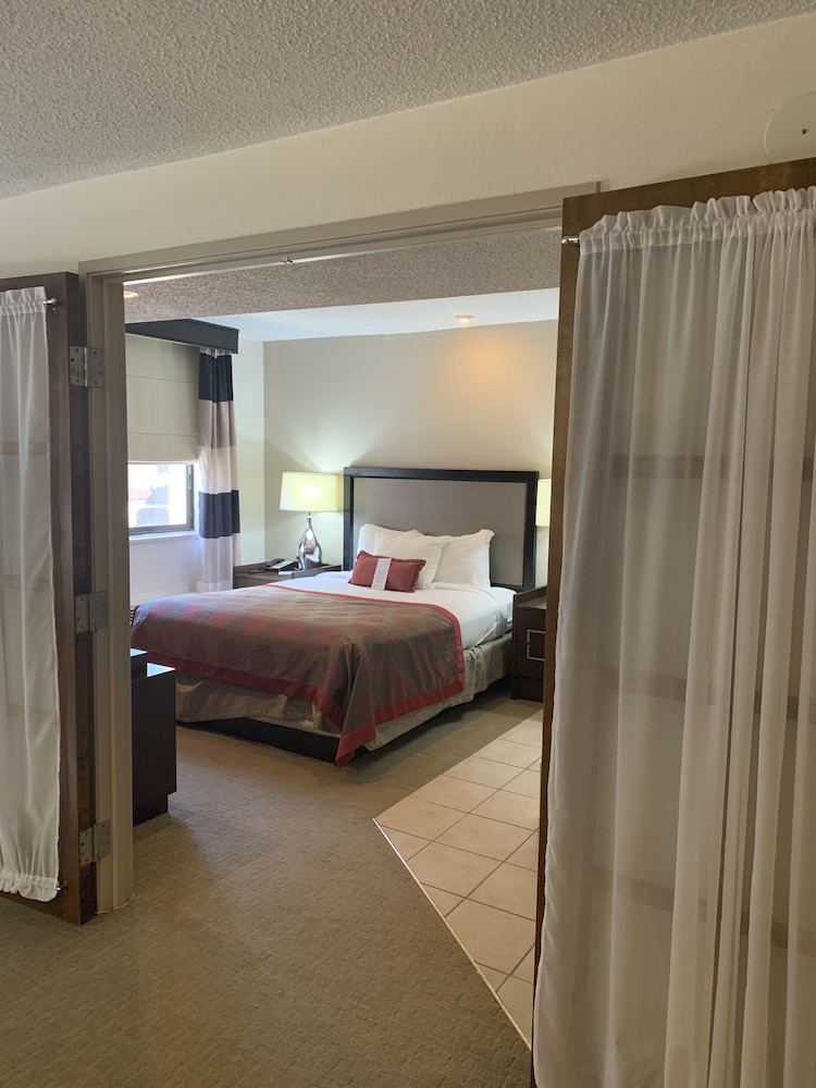 Suite, 1 Queen Bed - Photo 4